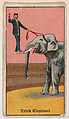 Trick Elephant, from The Circus series (E44) issued by Messer's Gum, Messer's Gum American, Commercial color lithograph