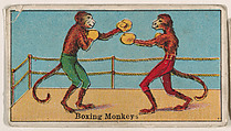 Boxing Monkeys, from The Circus series (E44) issued by Messer's Gum, Messer's Gum American, Commercial color lithograph