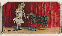 Midget Pony, from The Circus series (E44) issued by Messer's Gum, Messer's Gum American, Commercial color lithograph