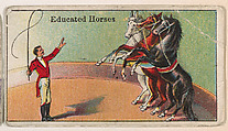 Educated Horses, from The Circus series (E44) issued by Messer's Gum, Messer's Gum American, Commercial color lithograph