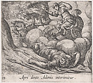 Plate 98: The Metamorphosis of Adonis (Apri dente Adonis interimitur), from Ovid's 'Metamorphoses', Antonio Tempesta  Italian, Etching