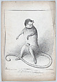 An Extradordinary Animal. Neither an Opossum nor a Kangaroo but having something of both, John Doyle  Irish, Lithograph