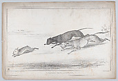 Coursing Extraordinary, John Doyle  Irish, Lithograph