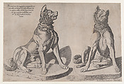 Two Dogs, from "Speculum Romanae Magnificentiae", Sebastiano di Re  Italian, Engraving