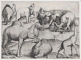 Wild Animals, from antique wall paintings, plate 3, from "Speculum Romanae Magnificentiae", Anonymous, Italian, mid-16th century Italian, Engraving