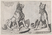 Two Dogs, from "Speculum Romanae Magnificentiae", Sebastiano di Re  Italian, Engraving