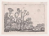 Herd of Sheep Near the Water, from Verscheyden Landtschapjes (Various Little Landscapes), Plate 8, Willem Pietersz Buytewech  Dutch, Etching; Begemann's second state of three