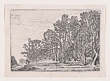 Two Plank Hedges, from Verscheyden Landtschapjes (Various Little Landscapes), Plate 6, Willem Pietersz Buytewech  Dutch, Etching; Begemann's second state of three