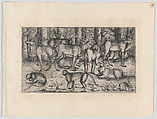Stags in the Forest, Augustin Hirschvogel German, Etching