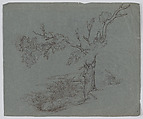 Landscape with a tree in the foreground, Raphael Lamar West British, Graphite, pen and brown ink on gray paper