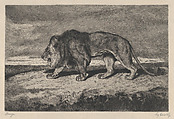 Lion walking, Charles Courtry French, Etching and drypoint