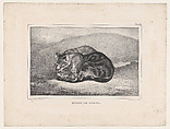 Study of Cats, Antoine-Louis Barye French, Lithograph