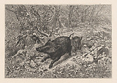 Wild Boar, from "Eaux-Fortes Animaux & Paysages", Karl Bodmer  Swiss, Etching