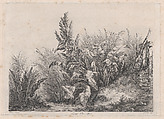 Great Water Dock Plant, Eugène Stanislas Alexandre Bléry  French, Etching