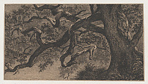 The Branches of an Oak Tree, Eugène Stanislas Alexandre Bléry  French, Etching