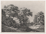 The Edge of the Woods, near Rambouillet, Eugène Stanislas Alexandre Bléry  French, Etching