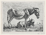 Jenny with its Foal, Jean Jacques de Boissieu  French, Etching; second state of three