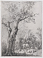 Spring, after a Drawing Made at Saint-Chamond, Jean Jacques de Boissieu French, Etching; fourth state of four