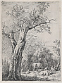 Spring, after a drawing made at Saint-Chamond, Jean Jacques de Boissieu  French, Etching; third state of four