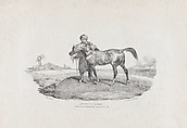 An Arabian Horse, Théodore Géricault French, Lithograph