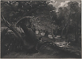 Jacques and the Wounded Stag (Shakespeare, As You Like It, Act 2, Scene 1), David Lucas (British, Geddington Chase, Northamptonshire 1802–1881 London), Mezzotint touched with white chalk; proof before published state