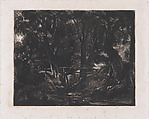 A Dell, Helmingham Park, Suffolk, David Lucas  British, Mezzotint; proof before published state