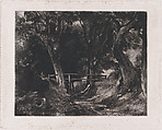 A Dell, Helmingham Park, Suffolk, David Lucas  British, Mezzotint; fifth proof of potentially eight, before published state