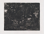 A Dell, Helmingham Park, Suffolk, David Lucas  British, Mezzotint; proof before published state