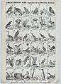 Broadside with images of 36 birds, Juan Llorens  Spanish, Wood engraving