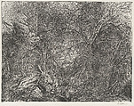 Thicket (Cambridge, New York), Arnold Bittleman American, Etching on zinc plate printed on wove paper