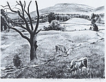 The Blasted Oak, Dayton Brandfield American, Lithograph