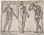 Studies of three skeleton, from the 'Principios para estudiar el Nobilísimo y Real arte de la Pintura' (Madrid 1693), José García Hidalgo  Spanish, Etching