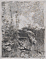 The botanist:  a man in a garden examining its contents, Mariano Fortuny, 1838–1874  Spanish, Etching on Japan paper (foxed)