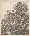 A Small Bridge over a Stream, Anthonie Waterloo  Dutch, Etching; second state of three