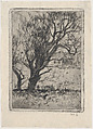 Small Landscape, Willem de Zwart Dutch, Etching