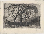 Small Landscape, Willem de Zwart Dutch, Etching