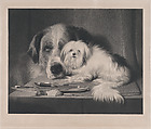 The Lion-Dog of Malta—The Last of His Tribe, Sir Edwin Henry Landseer British, Mixed method engraving on chine collé; proof before letters