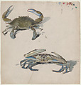 Two Crabs, Benjamin Henry Day Jr.  American, Watercolor, black ink, crayon, highlighted with white gouache