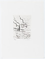Landscape with one tall tree and five smaller trees, with plants in the foreground, from "Bilder från min hand" (Pictures from my hand), Ulf Eriksson Swedish, Etching