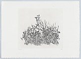 Snärje II (Thicket), Janne Dahl Swedish, Etching