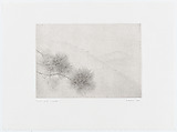 Pine Branch (Tallkvist), Gunnar Norrman  Swedish, Drypoint