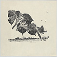 Butterflies on a branch, from "The Swedish Fine Art Print Society Portfolio" (Föreningen för Grafisk Konst), Harald Sallberg Swedish, Wood engraving