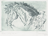 Head of a horse wearing a saddle from which hang spurs, Federico Cantù  Mexican, Engraving in bluish plate tone