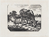 Bull and sheep in a pasture, Anonymous, Mexican, Wood engraving