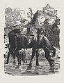 Saddled donkeys drinking water, Anonymous, Mexican, Wood engraving