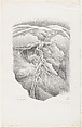 Monterey Cypress, Jean Charlot French, Lithograph on stone