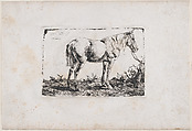 Horse Standing, Adam von Bartsch  Austrian, Etching, third state of three (Rieger)