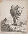 A cow, seen from the front, Adam von Bartsch Austrian, Etching; third state of three (Rieger)