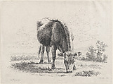 Cow grazing, Adam von Bartsch Austrian, Etching and engraving