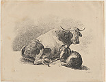 Cow and goat lying down, Adam von Bartsch Austrian, Etching and engraving; third state of three